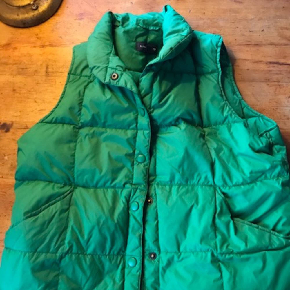 Vest